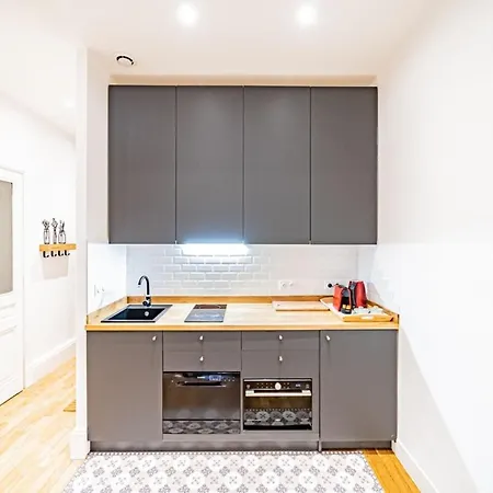 Aapartment With Character Parquet Flooring Fireplace - Charpennes Apartment